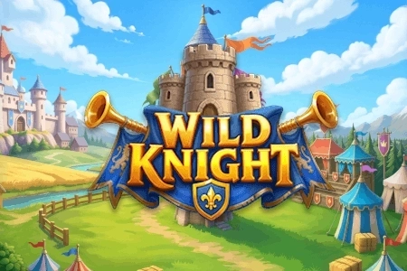 Wild Knight