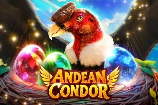 Andean Condor