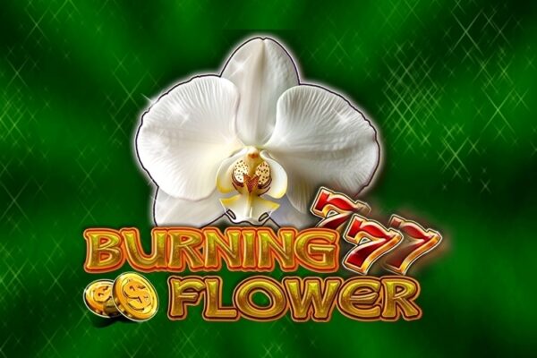 Burning Flower