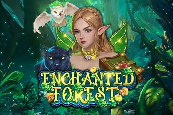Enchanted Forest
