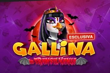 Gallina in Transilvania