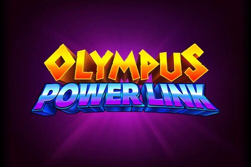 Olympus Power Link