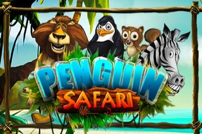 Penguin Safari