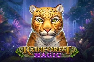 Rainforest Magic